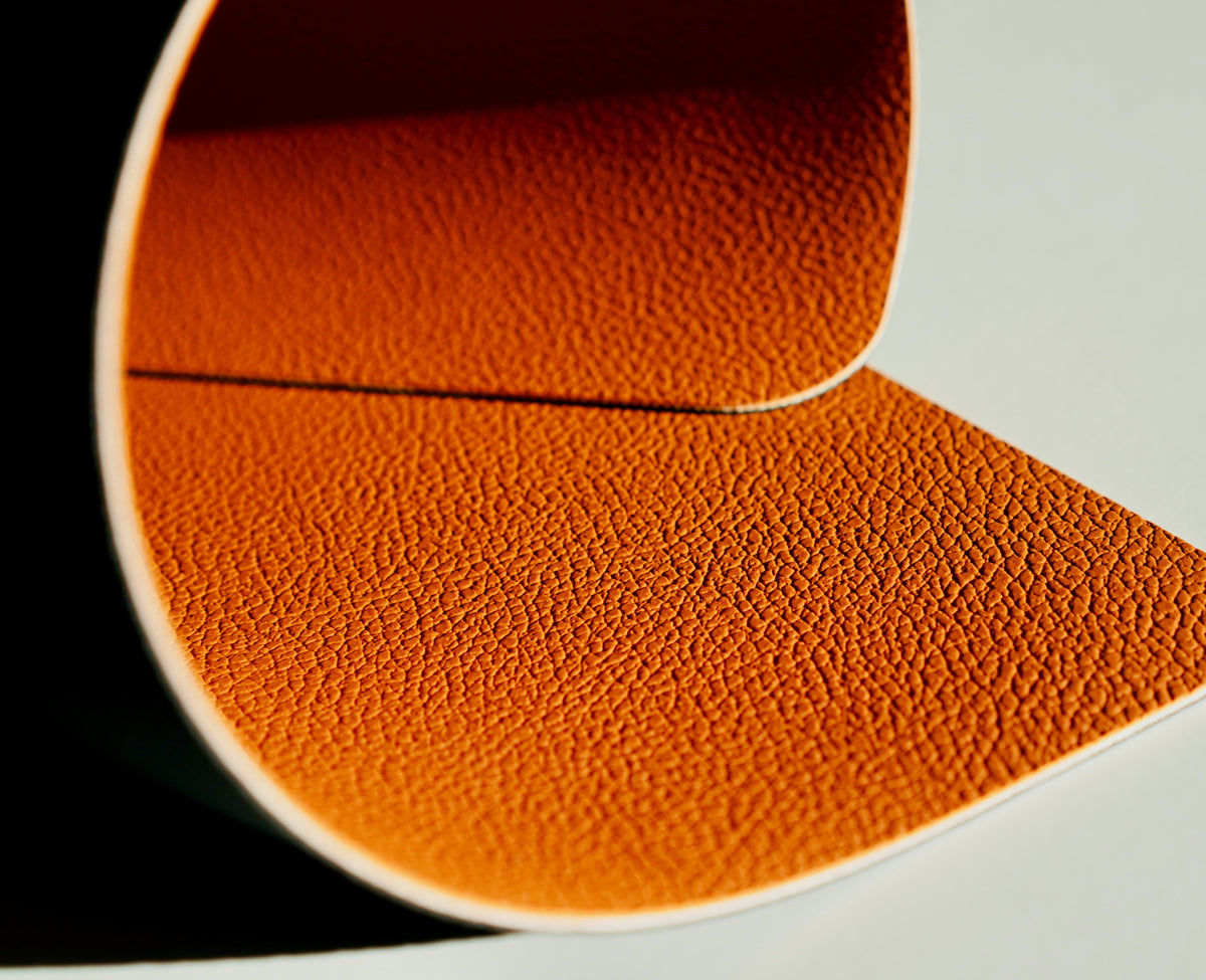 Close-up of an orange textured object on a white background